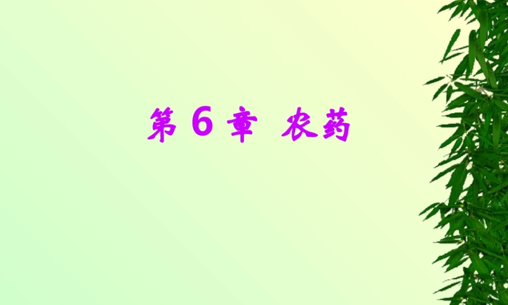 农药.1ppt...ppt