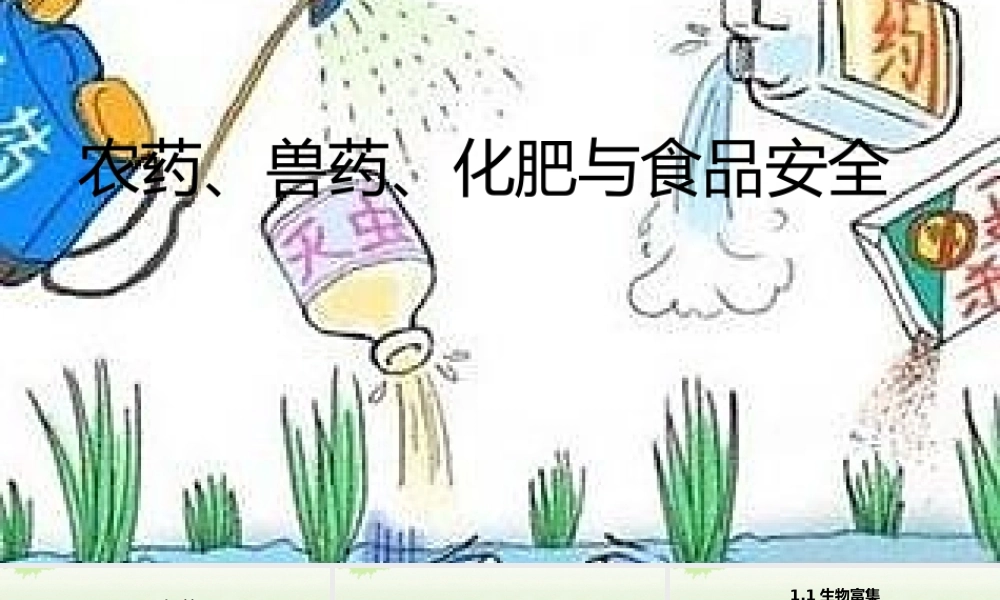 农药、兽药、化肥与食品安全.pptx