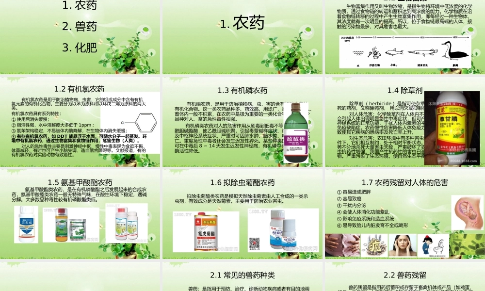 农药、兽药、化肥与食品安全.pptx