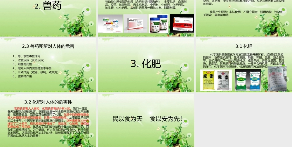 农药、兽药、化肥与食品安全.pptx