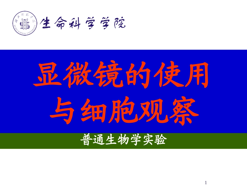 显微镜的使用与细胞观察.ppt_第1页