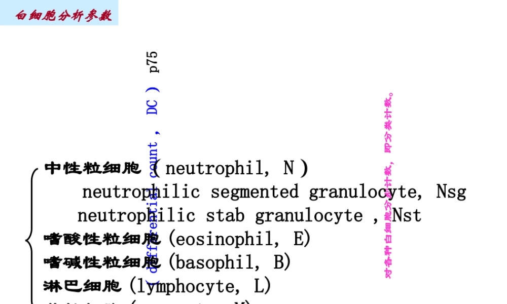 最新白细胞分析参数-PPT文档.ppt