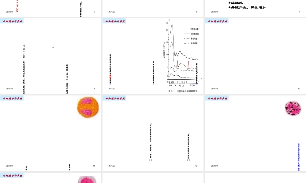 最新白细胞分析参数-PPT文档.ppt