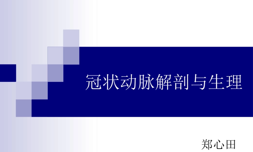 冠状动脉生理及特点.ppt
