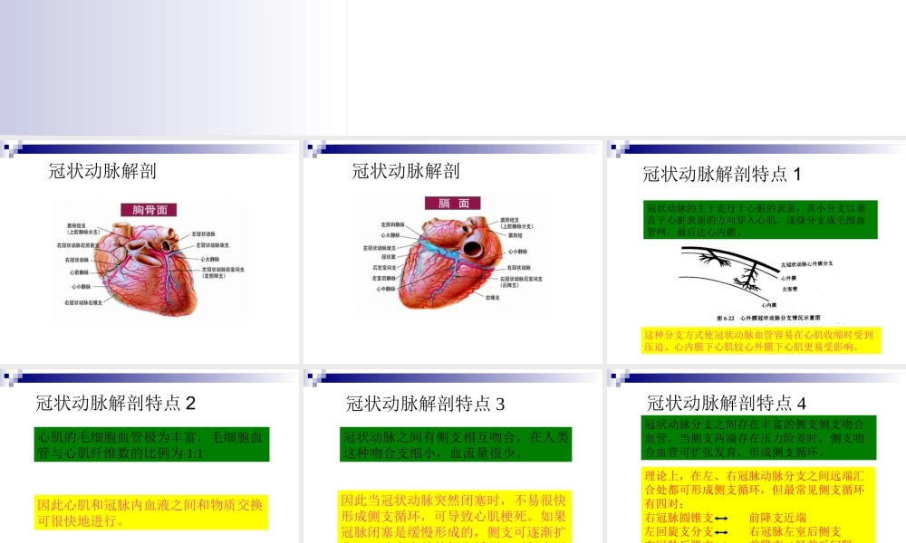 冠状动脉生理及特点.ppt