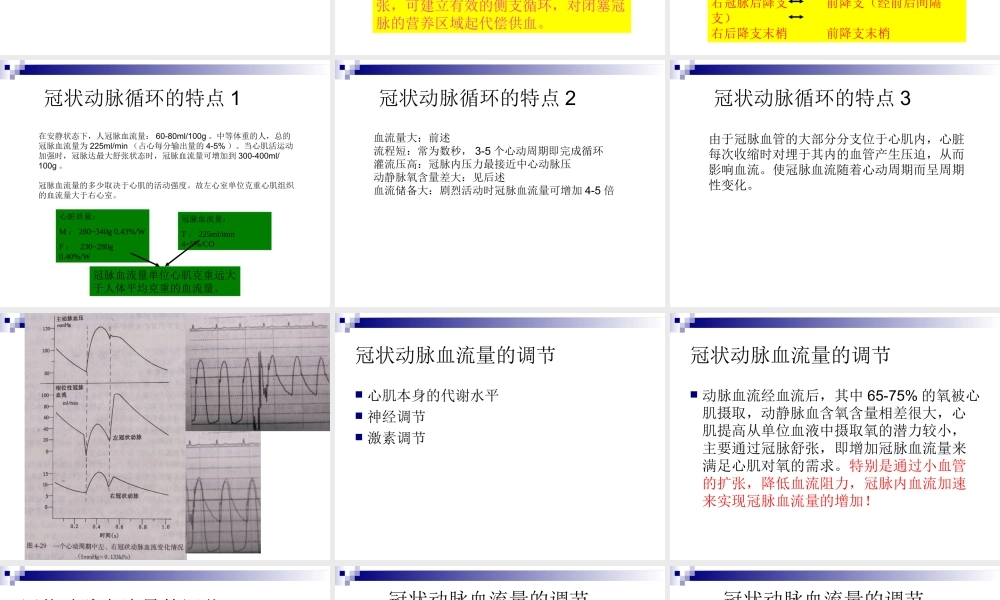 冠状动脉生理及特点.ppt