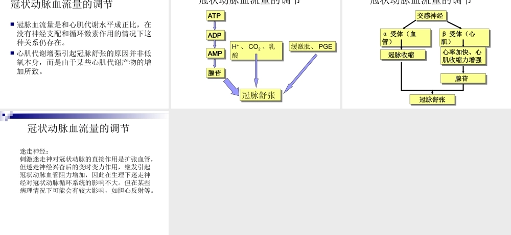 冠状动脉生理及特点.ppt