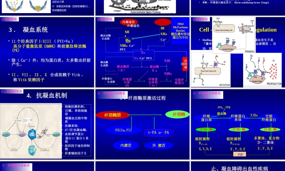 凝血功能检测和解读.ppt