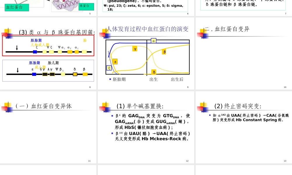 分子病与遗传性酶病-(2).ppt