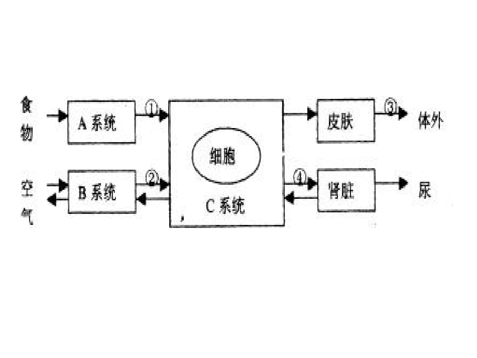 无机盐和尿素.ppt_第2页