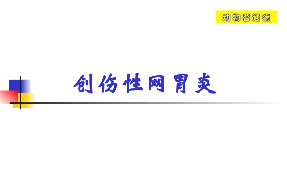 创伤性网胃炎.ppt