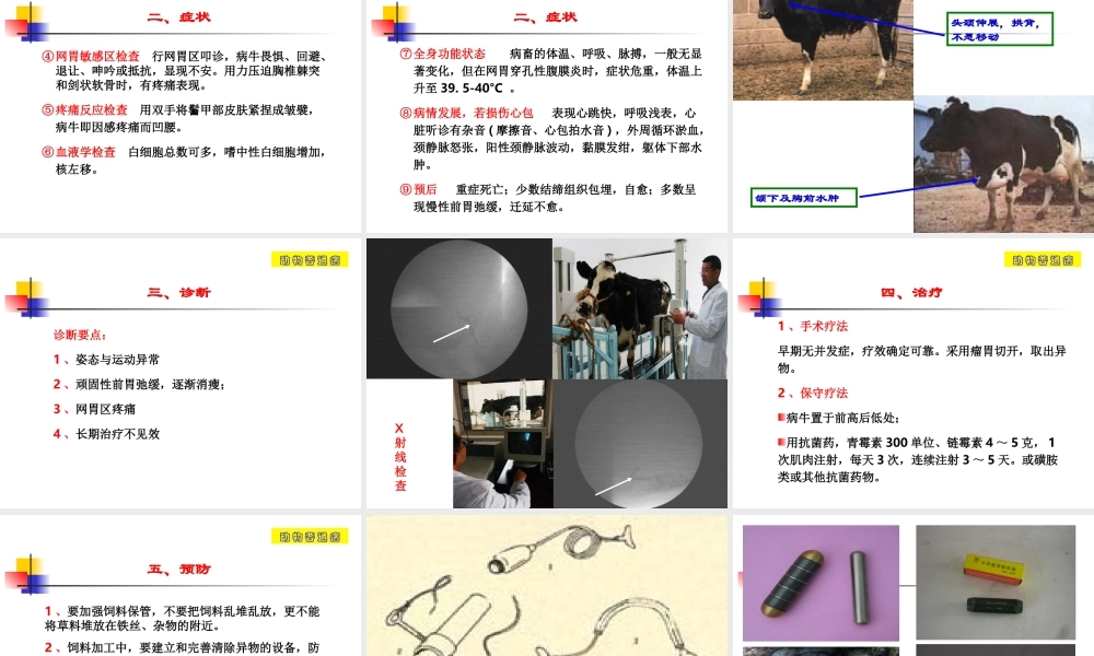 创伤性网胃炎.ppt