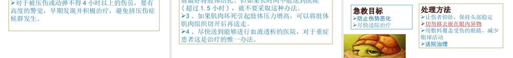 创伤的识别及处理.ppt