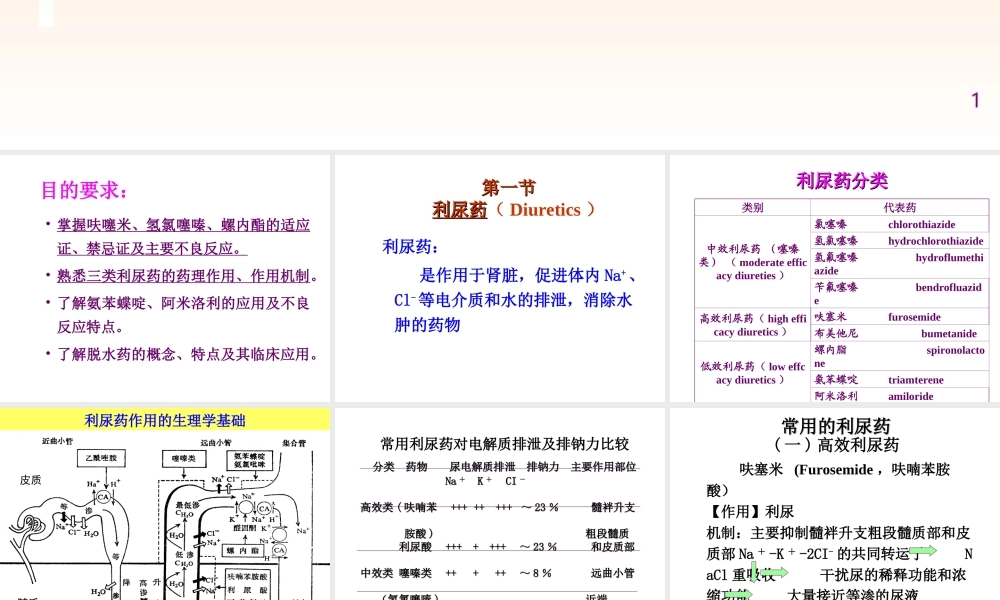 利尿药-高教2009.ppt