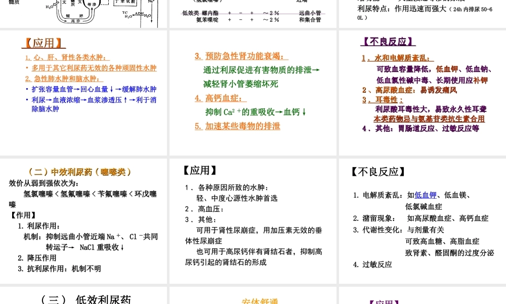 利尿药-高教2009.ppt