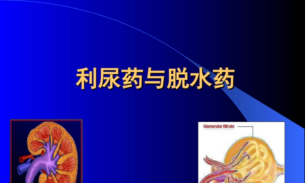 利尿药与脱水药1.ppt