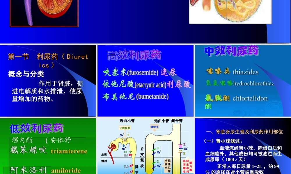 利尿药与脱水药1.ppt