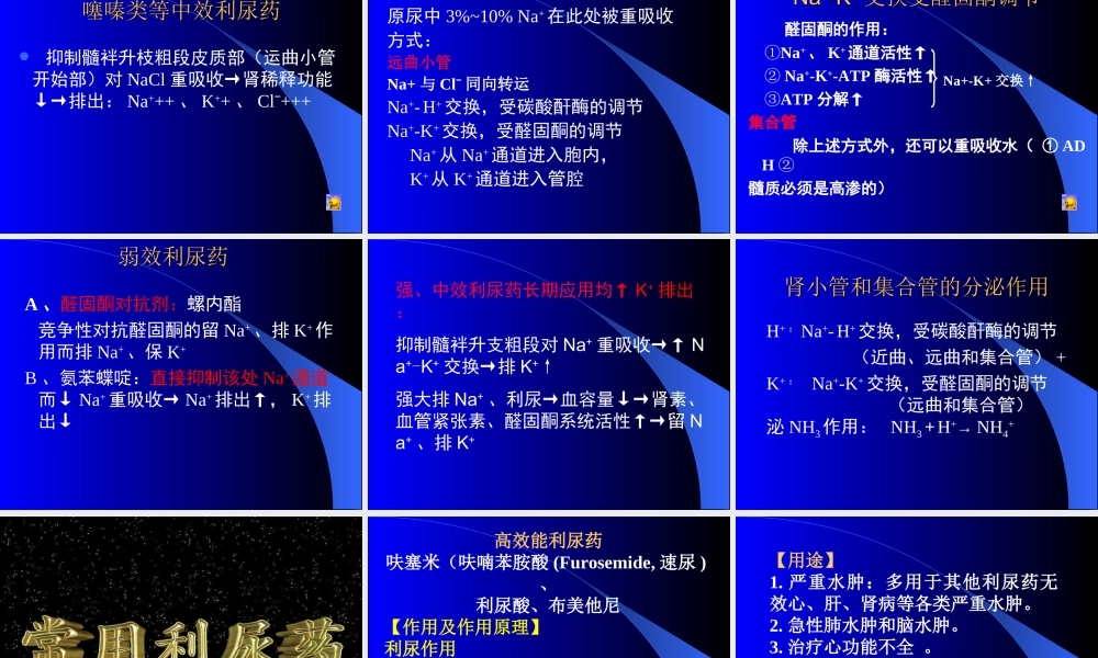 利尿药与脱水药1.ppt