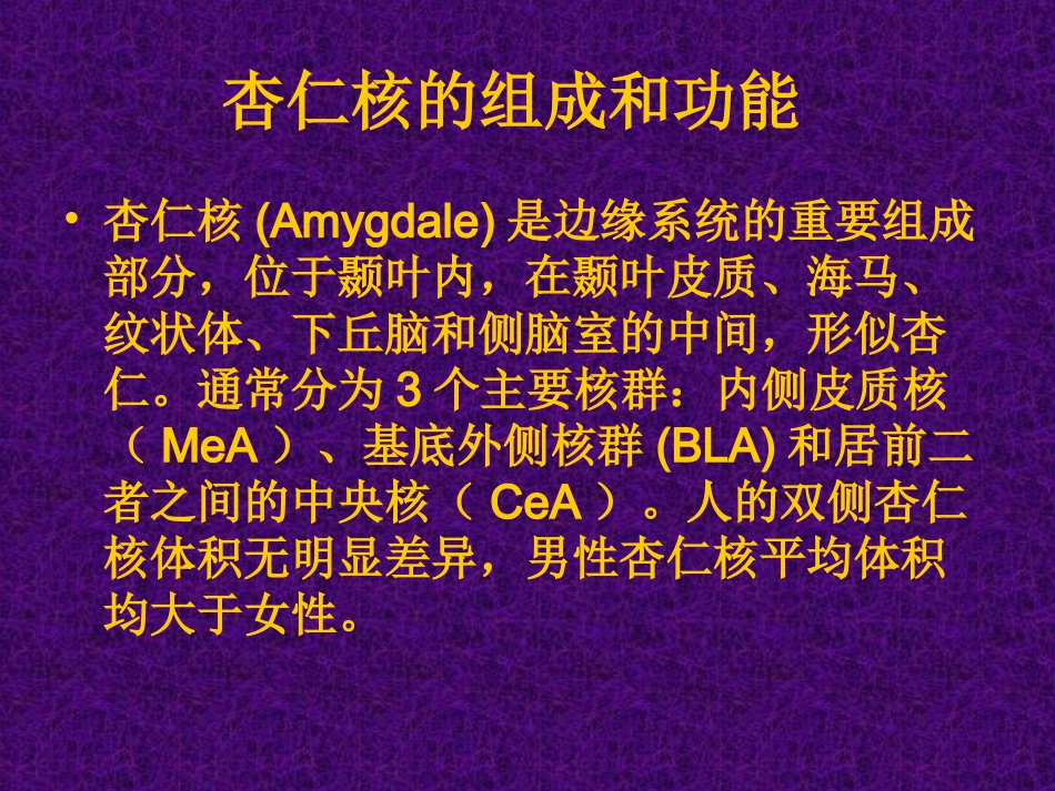 杏仁核与PTSD发病机制的相关性.ppt_第3页