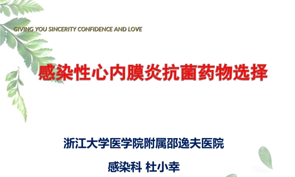 杜小幸感染性心内膜炎.ppt