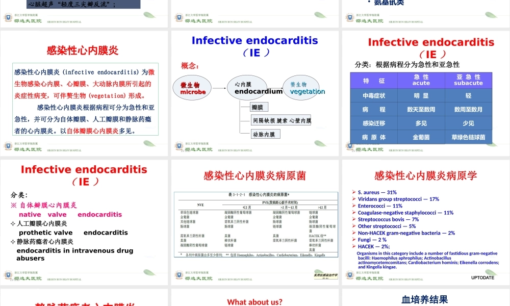 杜小幸感染性心内膜炎.ppt