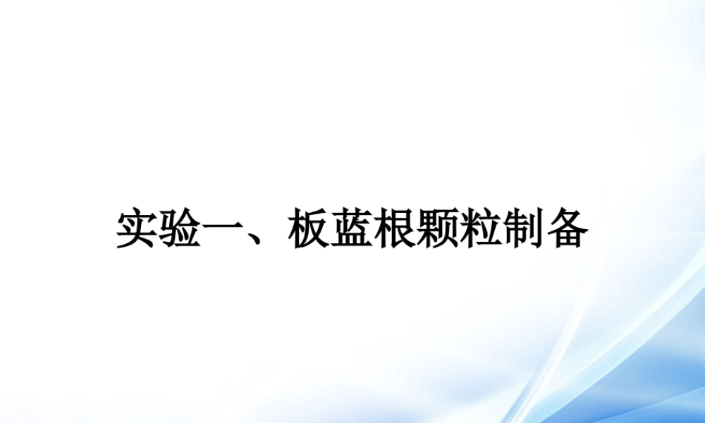 板蓝根颗粒制备.ppt