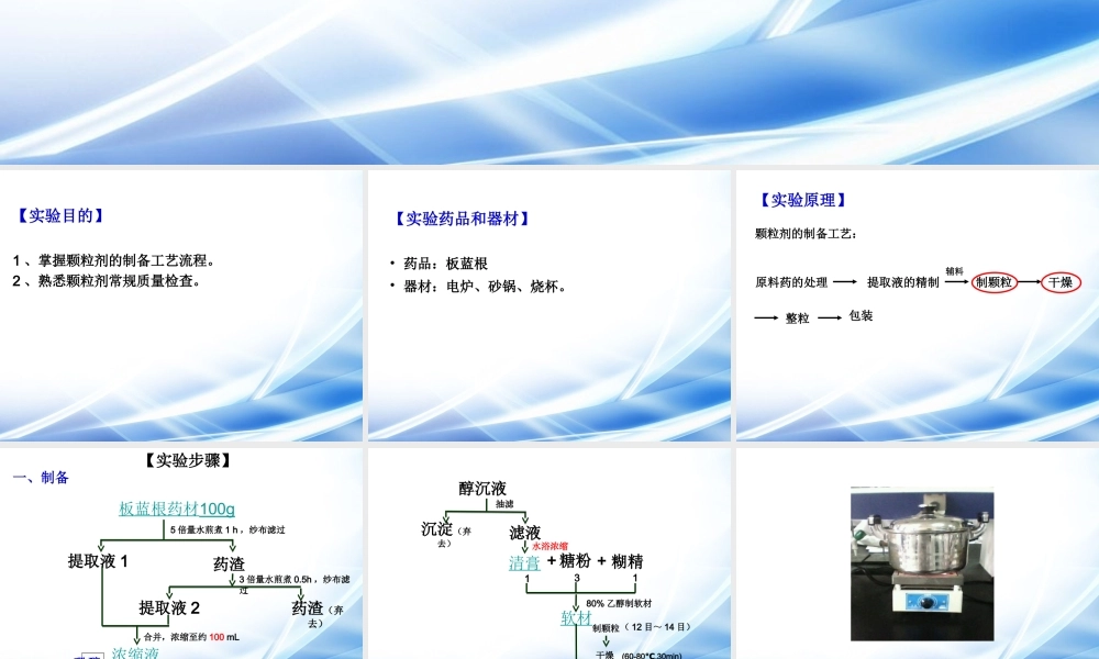 板蓝根颗粒制备.ppt