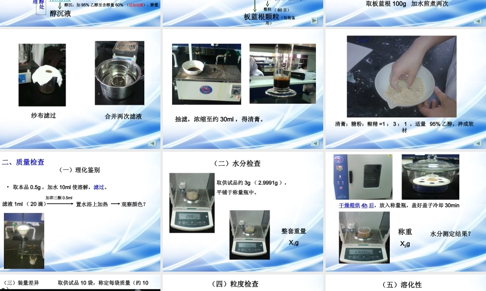 板蓝根颗粒制备.ppt