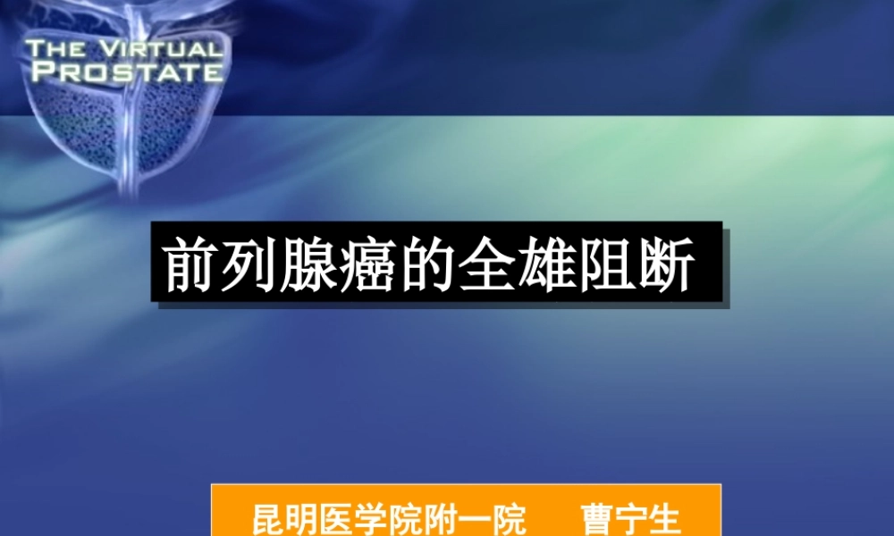 前列腺癌的全雄阻断.ppt