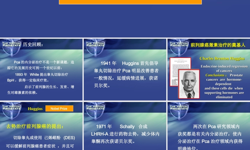 前列腺癌的全雄阻断.ppt