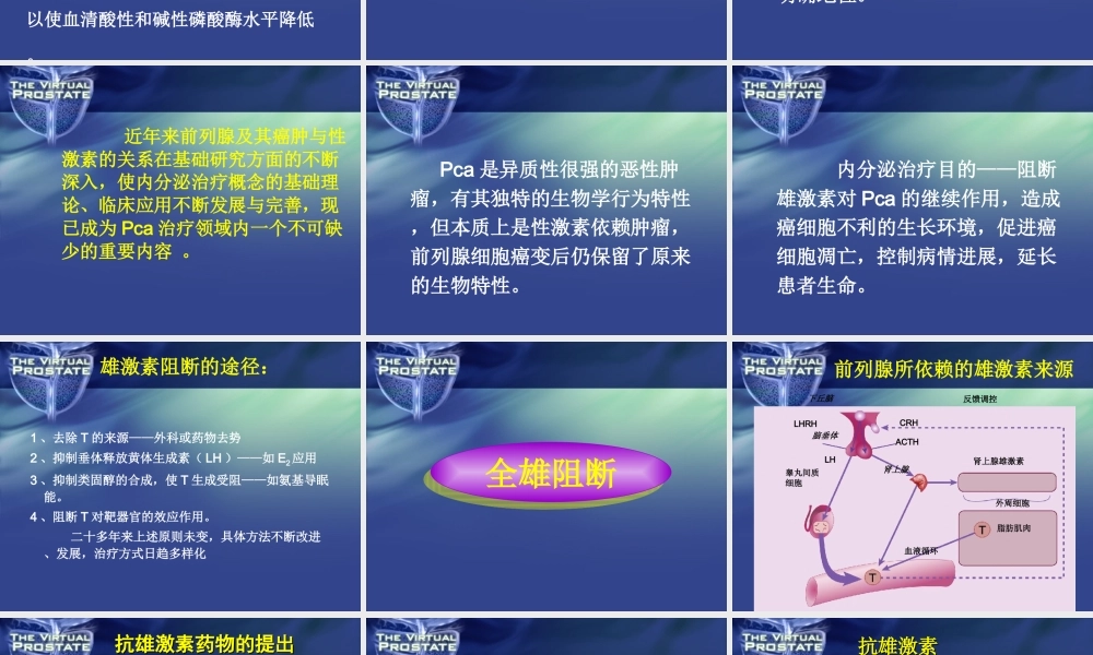 前列腺癌的全雄阻断.ppt