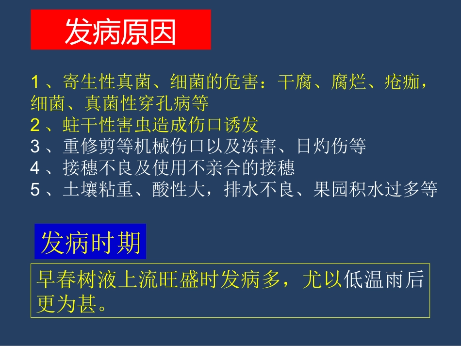 桃树病虫害高清图谱.ppt_第3页