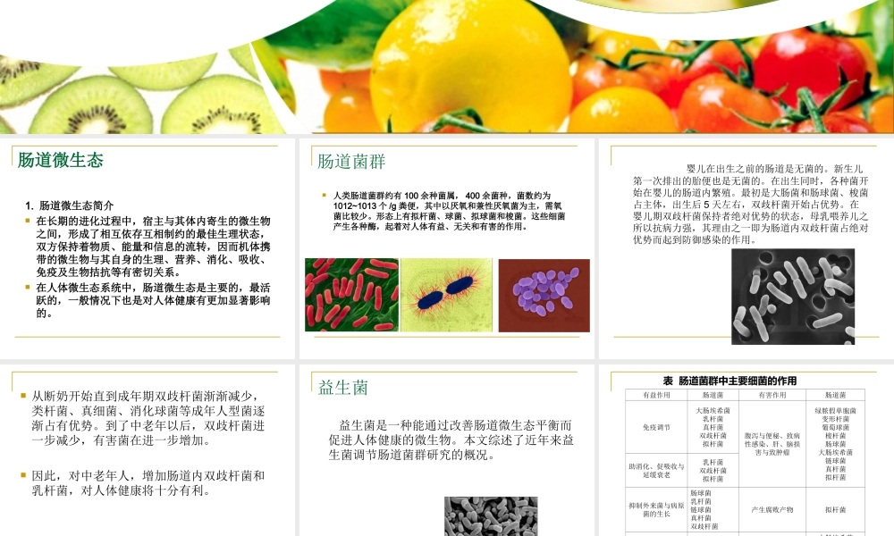 功能性食品-肠道菌群完整版.ppt