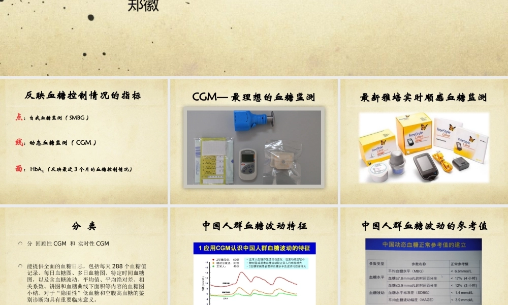 动态血糖监测.pptx