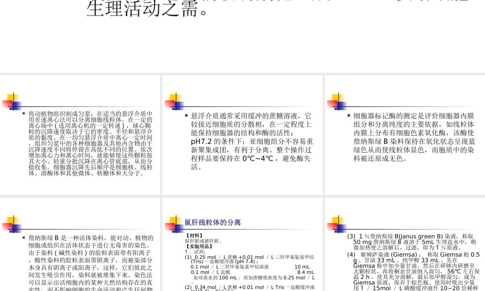 动植物细胞器离心法分离.ppt