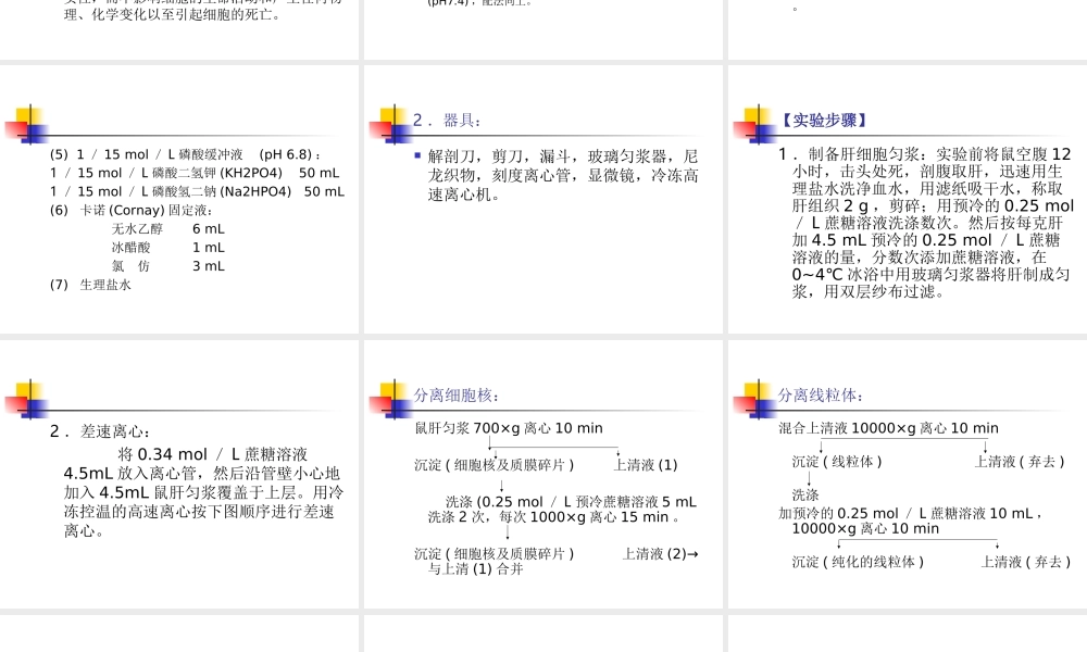 动植物细胞器离心法分离.ppt