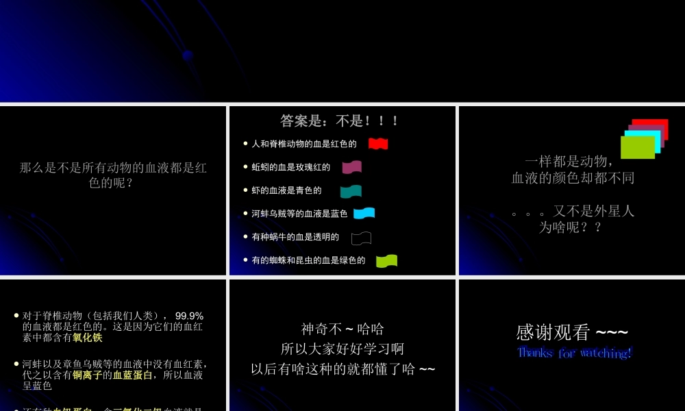 动物的血液颜色.ppt
