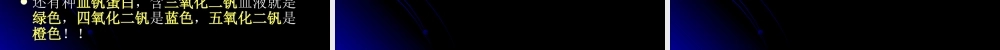动物的血液颜色.ppt