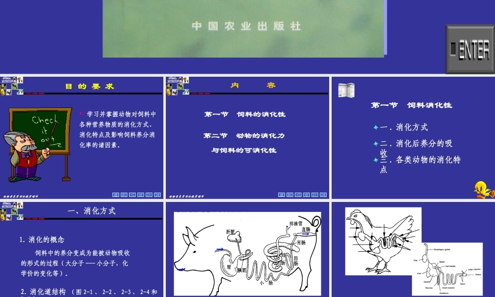 动物营养学--第二章--动物对饲料的消化.ppt