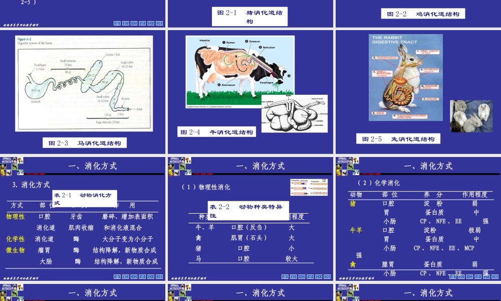 动物营养学--第二章--动物对饲料的消化.ppt