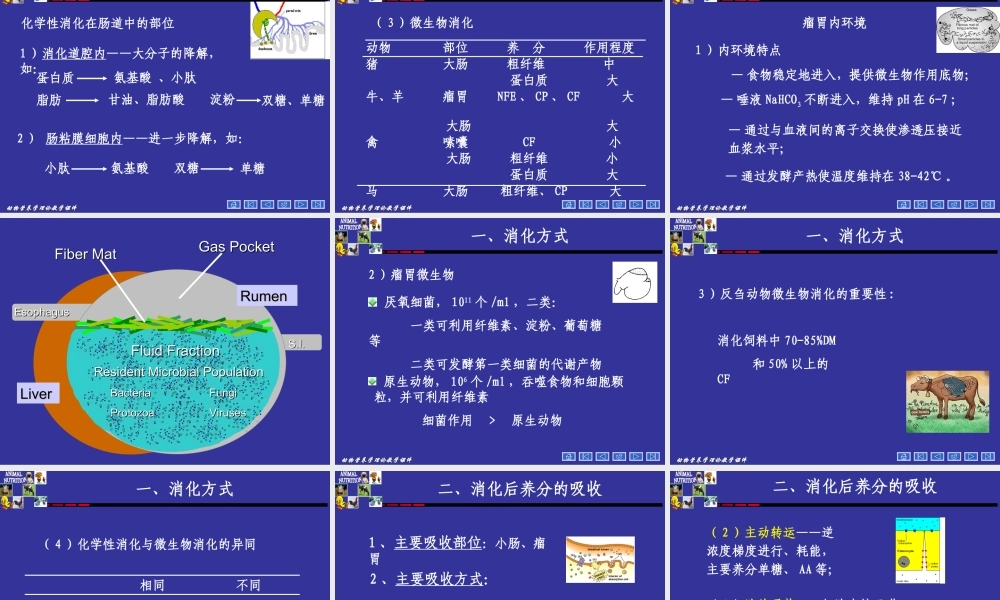 动物营养学--第二章--动物对饲料的消化.ppt