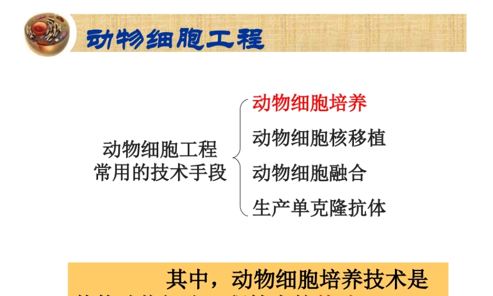 动物细胞培养和核移植技术-(2).ppt