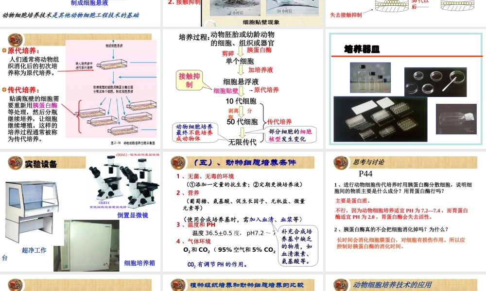 动物细胞培养和核移植技术-(2).ppt