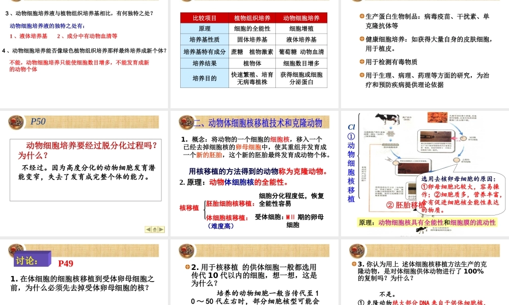 动物细胞培养和核移植技术-(2).ppt
