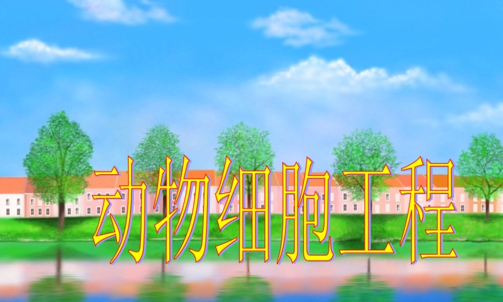 动物细胞工程常用的技术手段：.ppt