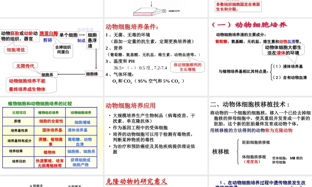 动物细胞工程常用的技术手段：.ppt