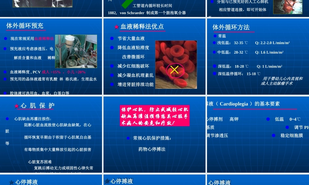 动脉导管开放Patentductusarteriosus动脉导管未闭.ppt