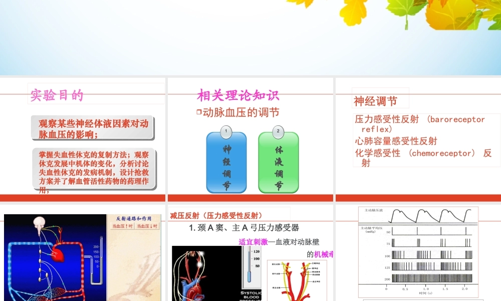 动脉血压调节与失血性休克.pptx