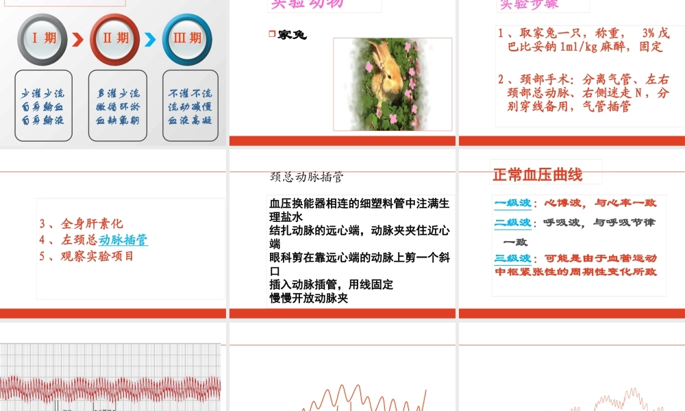 动脉血压调节与失血性休克.pptx