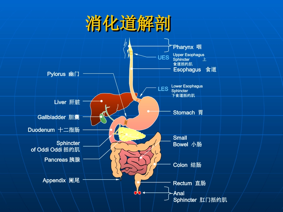 消化系统常用药鲁临-文档资料.ppt_第1页